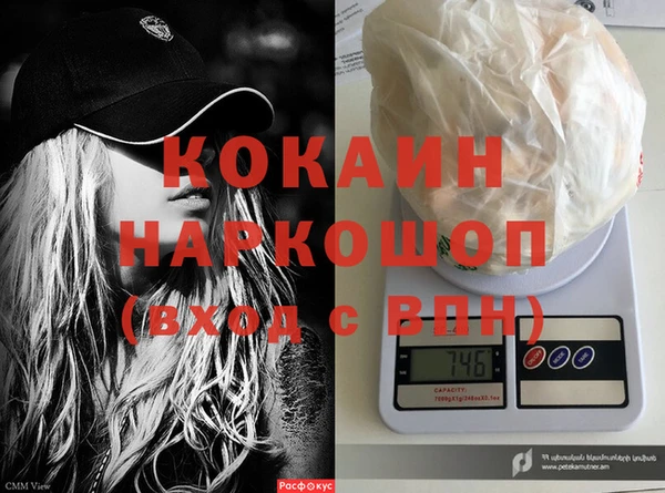 крисы Бронницы