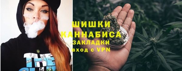 крисы Бронницы