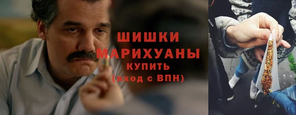 крисы Бронницы