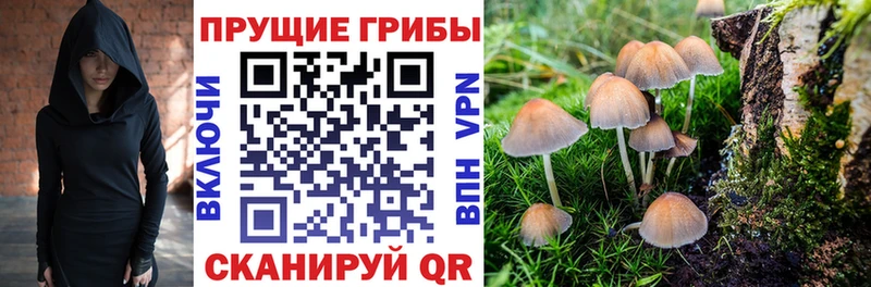 Галлюциногенные грибы мицелий  Арзамас 